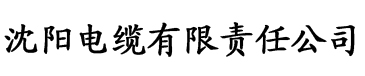 大菠萝网站污人口电缆厂logo